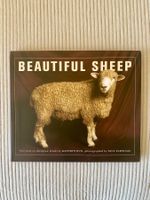 Livre « Beautiful sheep » en anglais