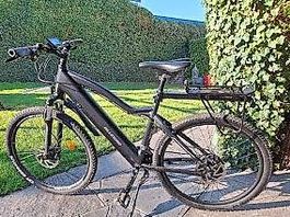 Allegro E-MTB Cross Tour II AXU 04 19