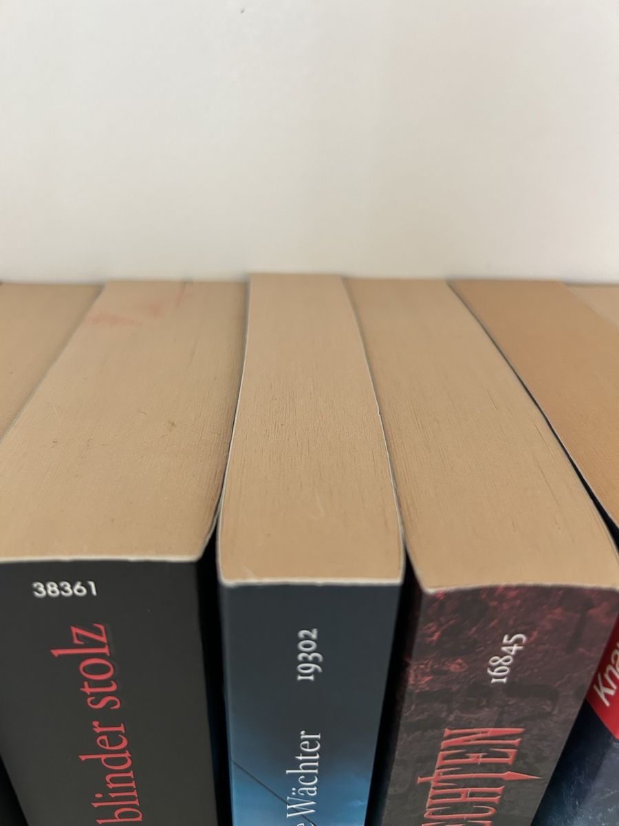Libri: Der dunkle Wächter von Carlos Zafon – Usato da Arbon venduto da Bobbyx777 3