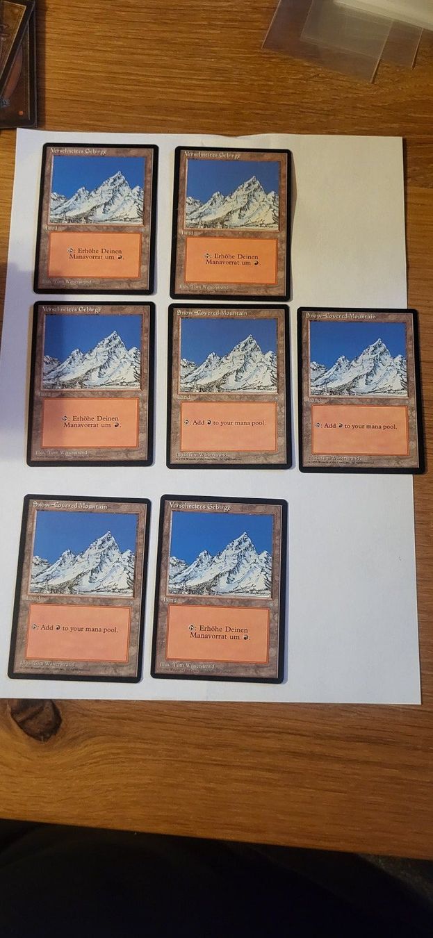 Magic The Gathering Carte collezionabili: MTG - Verschneites Gebirge – Usato da Münsingen venduto da Heroism2010