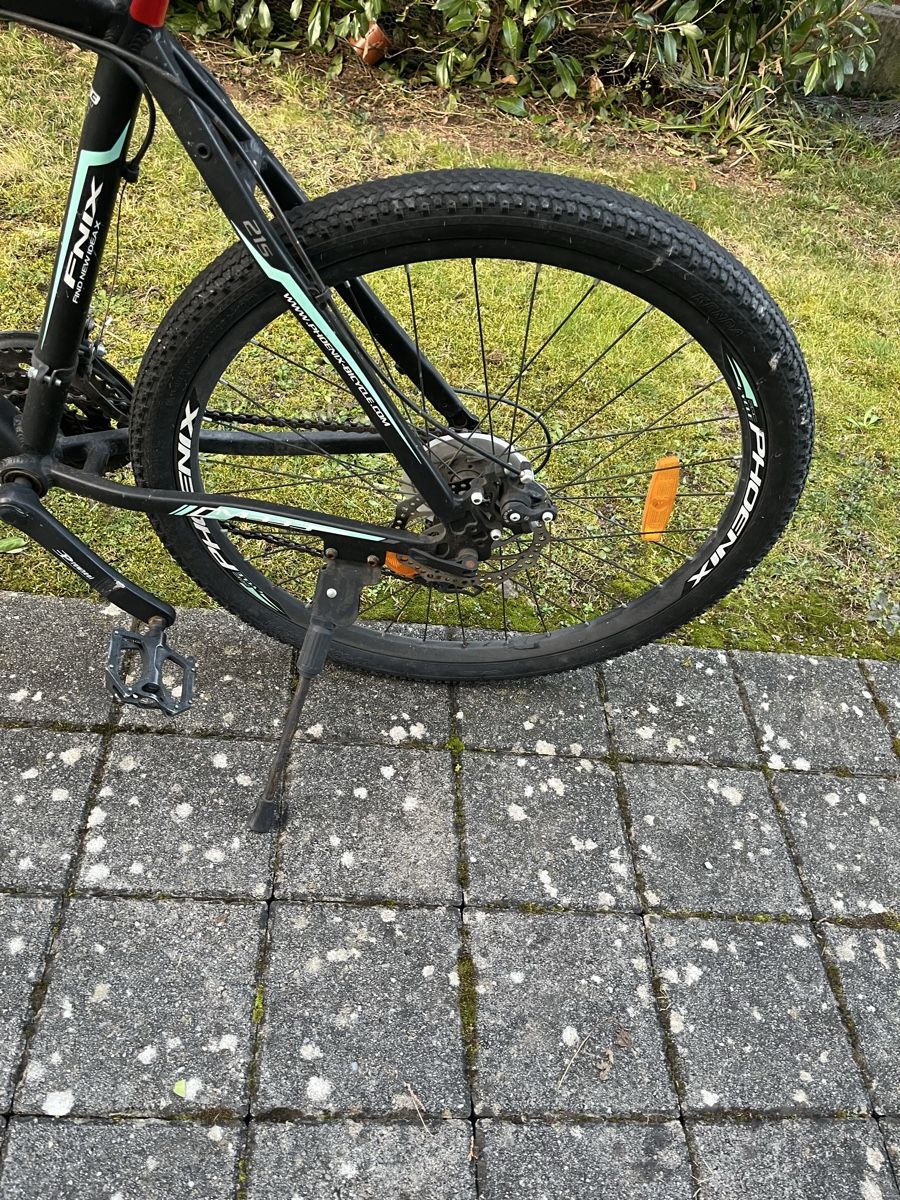 Phoenix Biciclette: Phoenix Velo – Usato da Sarnen venduto da flo_25mp 4