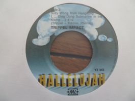 Vinyl Schallplatte - Trippel Impact - Hallelujah, YZ 343