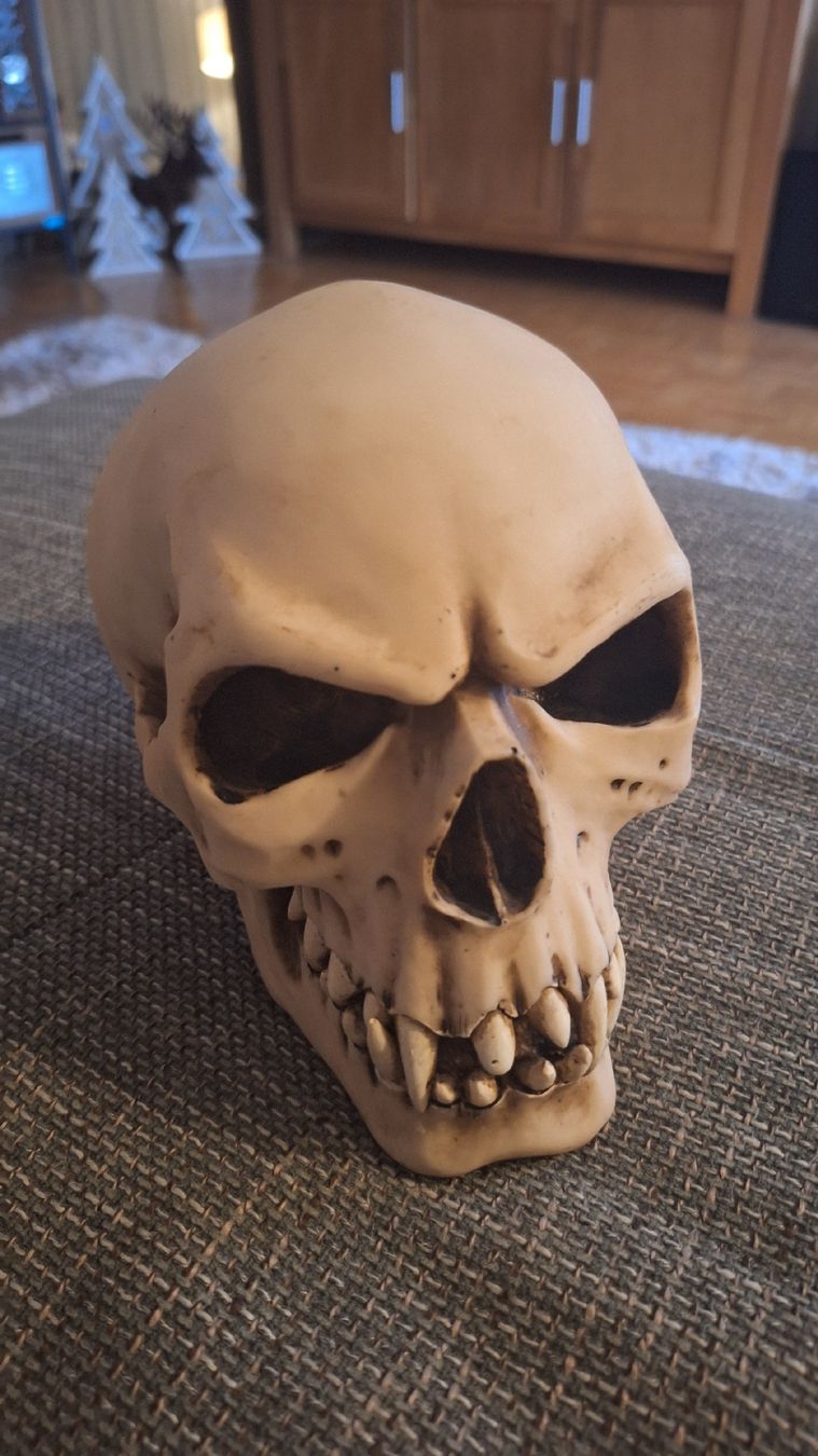 Tutte le decorazioni: Orc Schädel Totenkopf Skull – Nuovo (secondo la descrizione) da Luzern venduto da thomarco 2