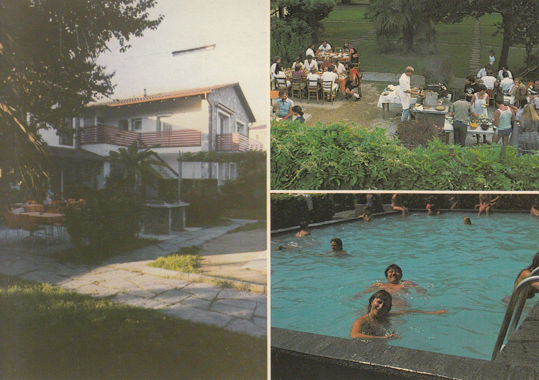 Cartoline postali: Caslano Mimosa 1982 – Usato da Bürglen TG venduto da StampGraf
