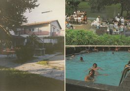 Caslano Mimosa 1982