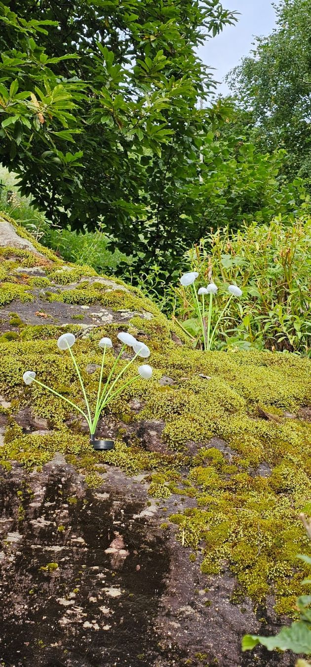 Tutte le decorazioni: Pilzlampe Garten,  LED, Warmweiss – Nuovo e nell'imballaggio originale da Edlibach venduto da frizliana 2