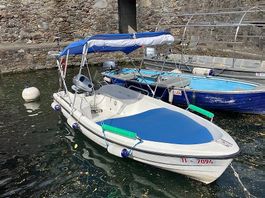 Motorboot, Fischerboot, Badeboot, Familienboot / 6 PS-Motor