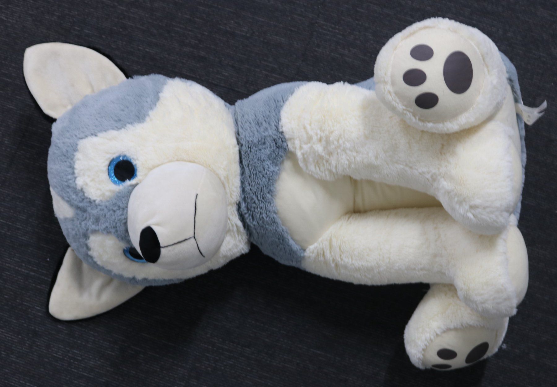 Jouets: Grosser Plüsch-Husky – D'occasion à Volketswil par brockipfannenstil 5