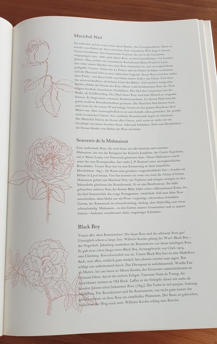 Libri: "Vom Ruhm der Rose" – Usato da Luzern venduto da Tangerine6 3