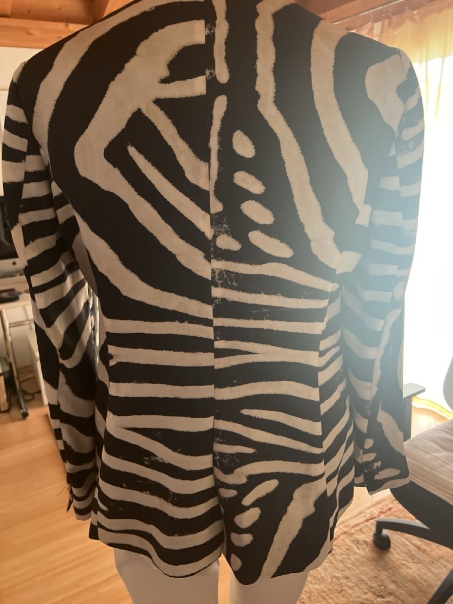 Zebra Vestes: Zara Basic L Zebra Blazer – D'occasion à Bonaduz par Malves10 1