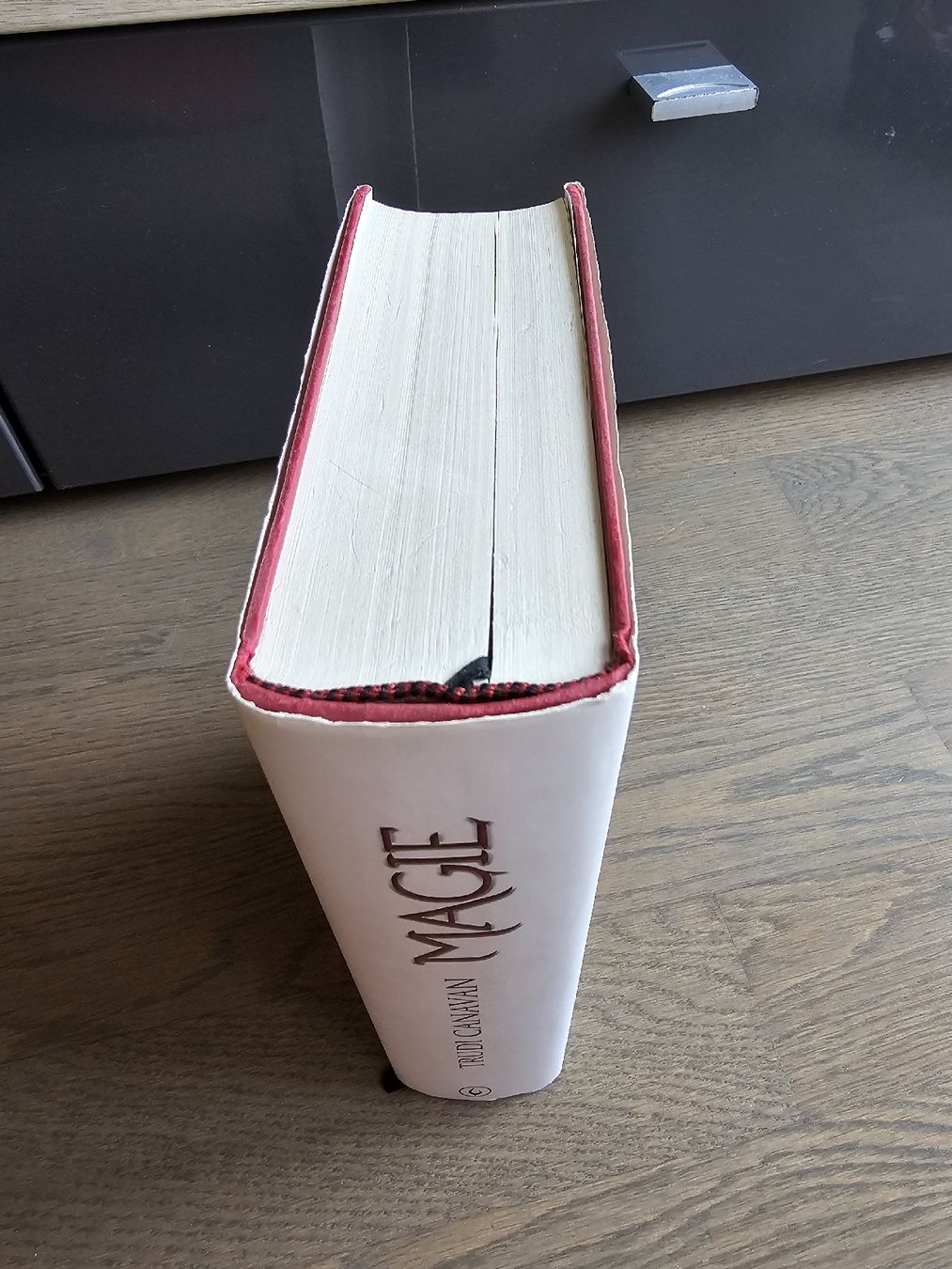 Libri: Magie - Trudi Canavan – Usato da Hinterforst venduto da impatiently 2