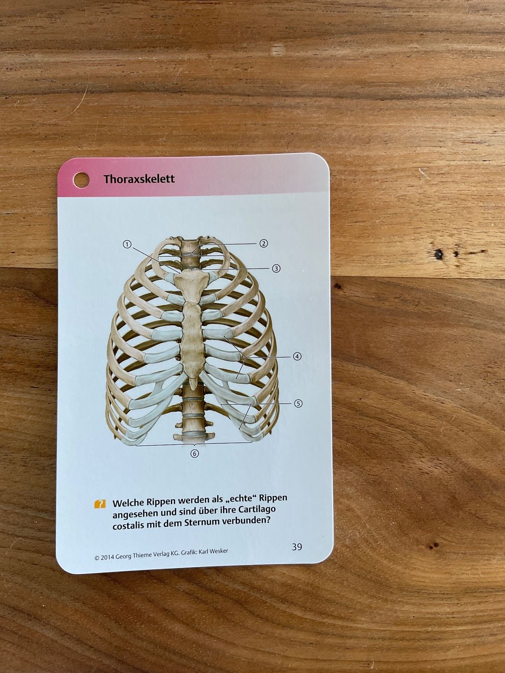Sonstiger Schulbedarf: Anatomie Lernkarten von Thieme – Gebraucht aus Oberuzwil von Harrison1 5