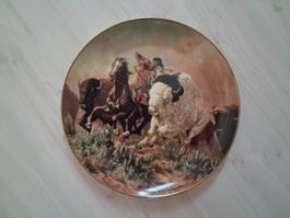 SAMMELTELLER INDIANER