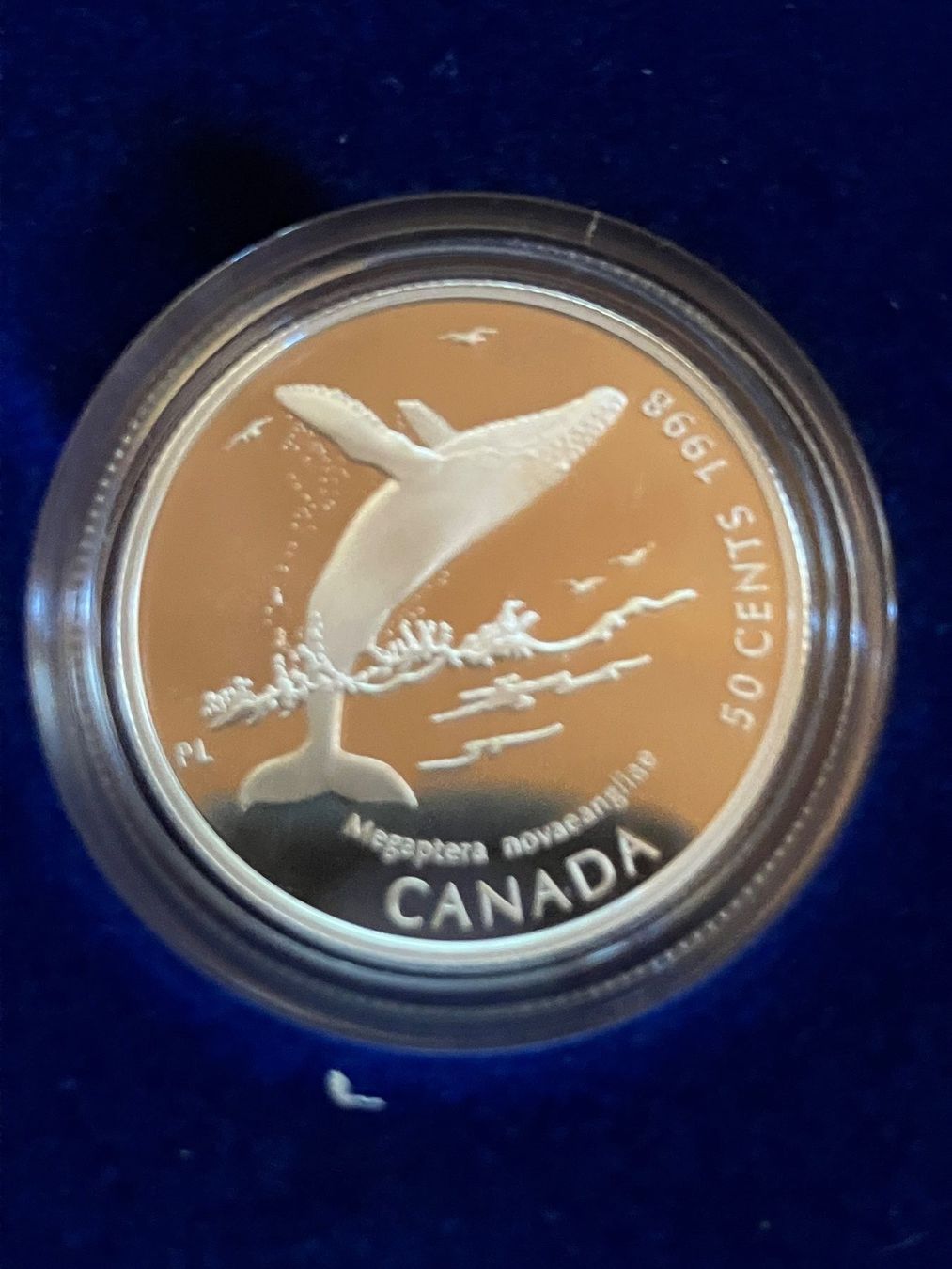 Tutti le monete: Top Münzlot  /  4  x  Silberdollars 1998 – Usato da untervaz venduto da Wingert 3