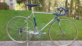 Mondia Super