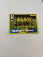 Panini Sticker WM 2026 Team Schweden SWE 13 