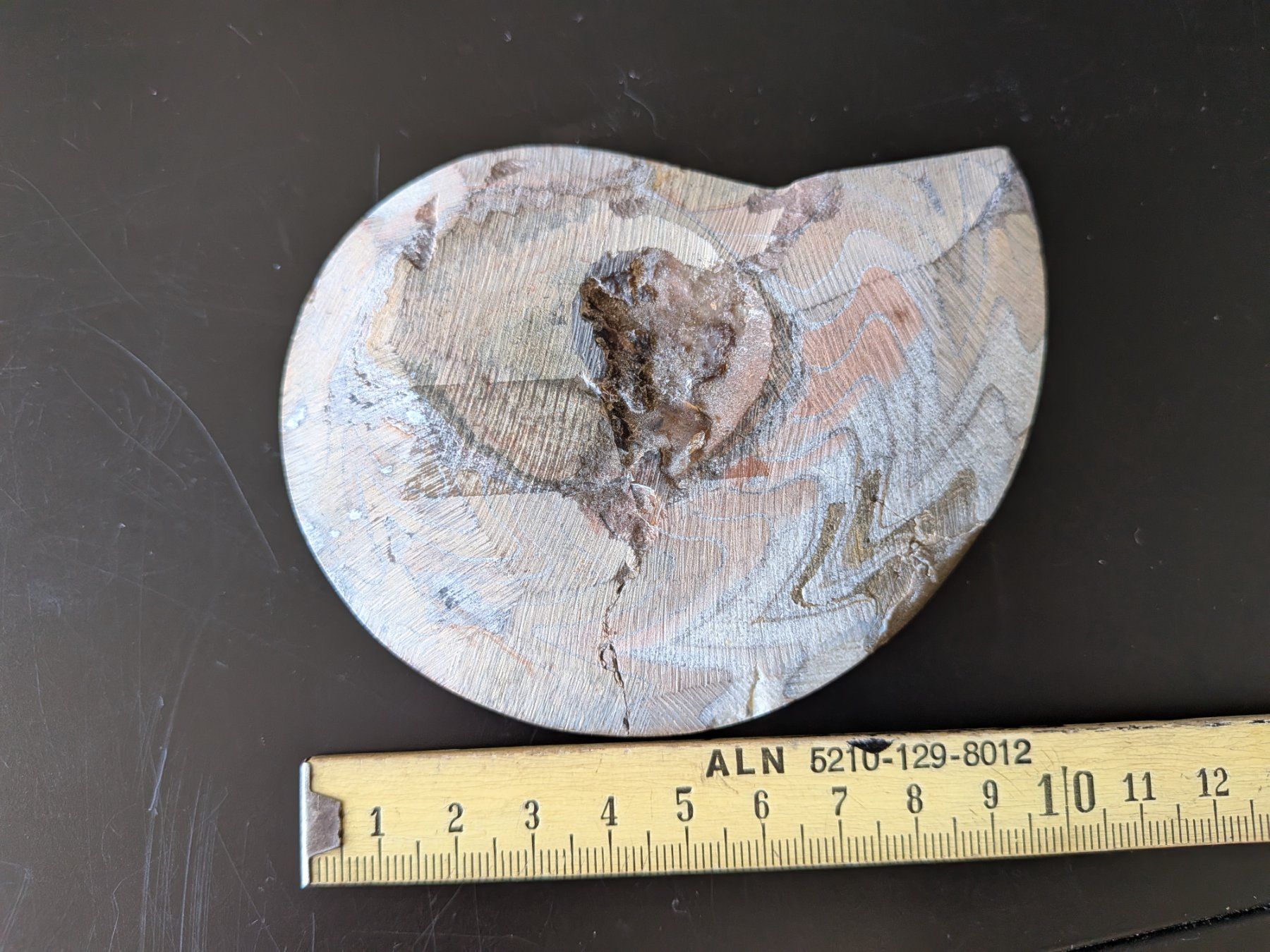 Fossilien: Fossil – Gebraucht aus Emmen von magelan 2