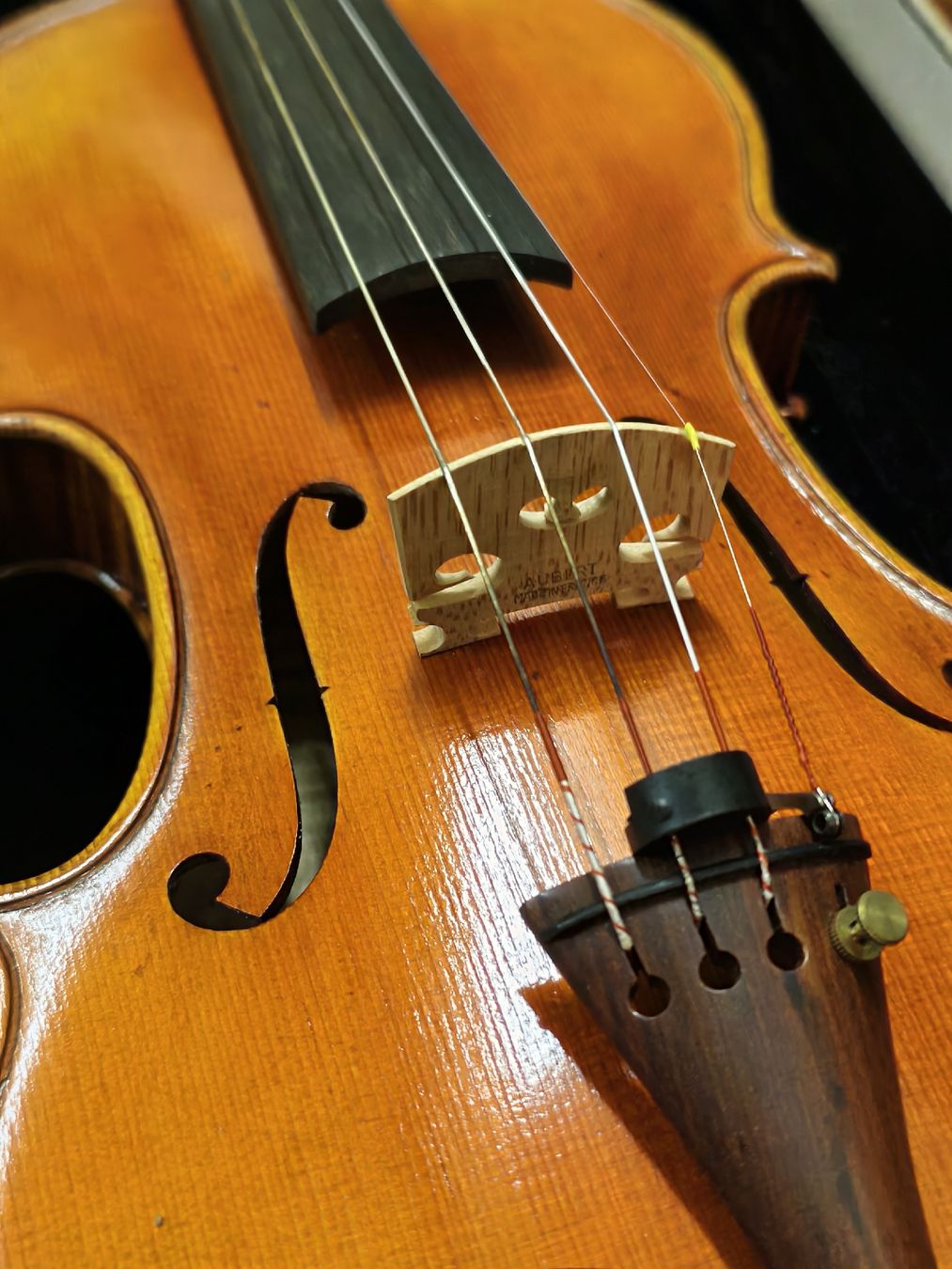 Strumenti musicali: Violin one-piece back – Usato da Vevey venduto da cos-vero 1