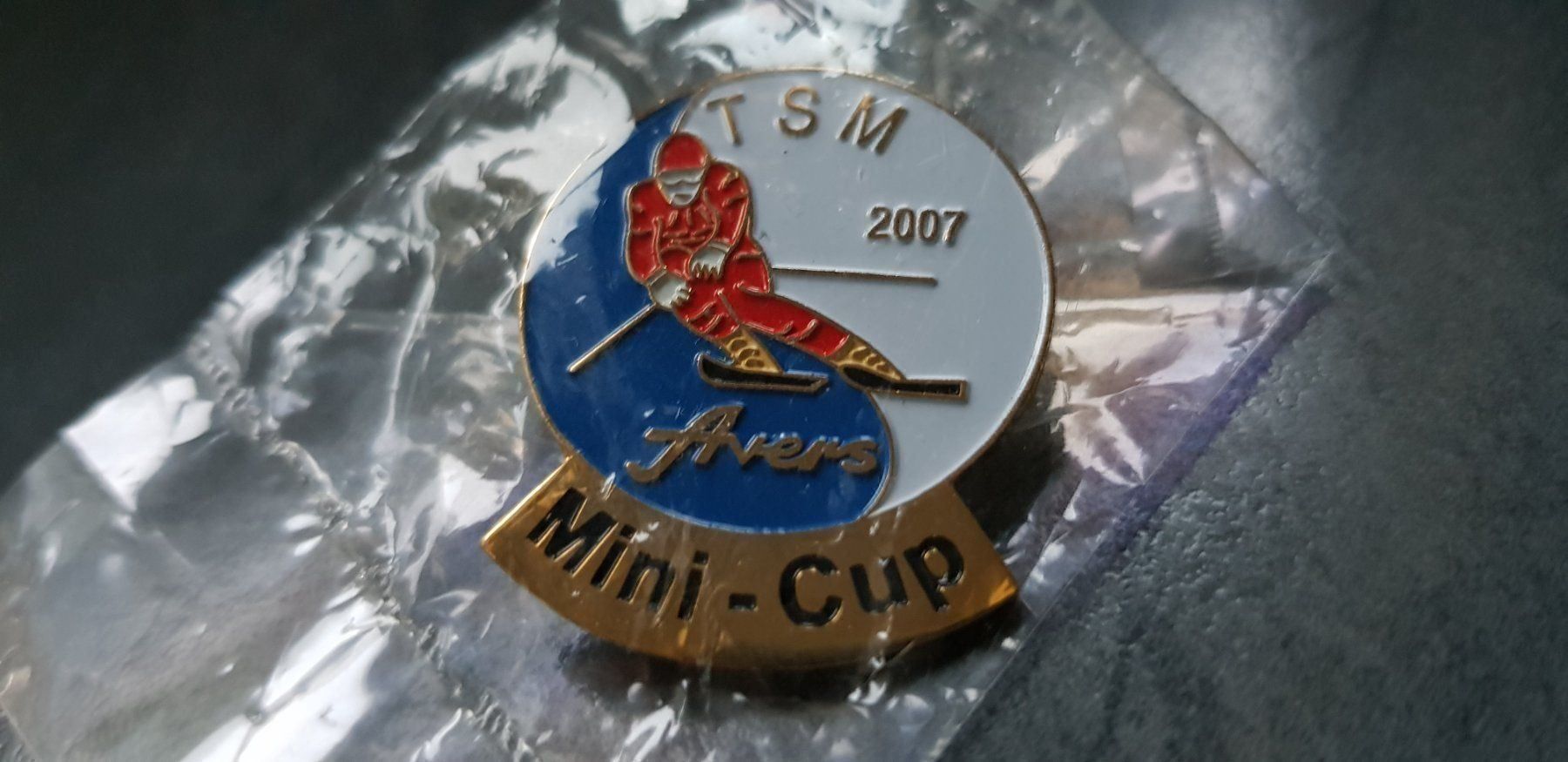 Placchette & Badge: Pin TSM 2007 Mini-Cup Avers – Nuovo (secondo la descrizione) da Aeschi SO venduto da marcok73