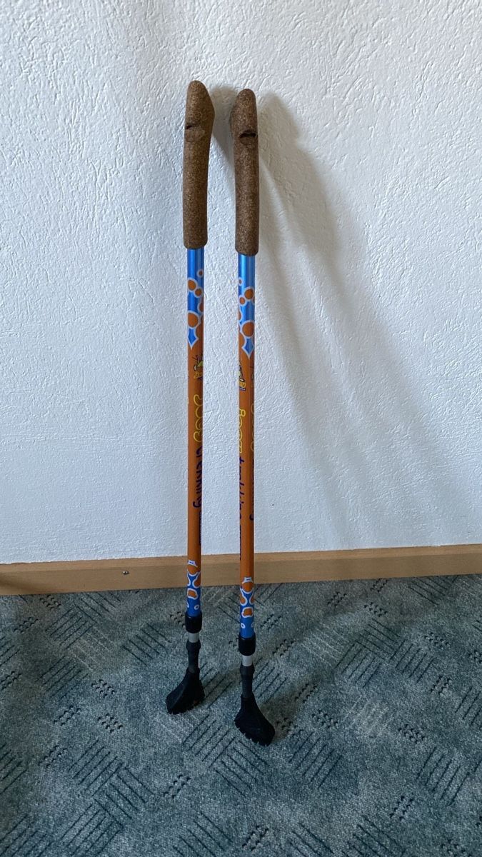 Bastoncini da trekking: Kinderwalkingstöcke – Usato da Strengelbach venduto da Mirjam1022