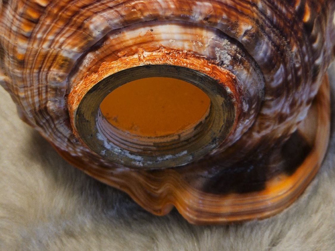 Lampade: Antike Art Déco geschnitzte Conch Shell, ca 1920, Lampe – Usato da Zürich venduto da sanwit 5
