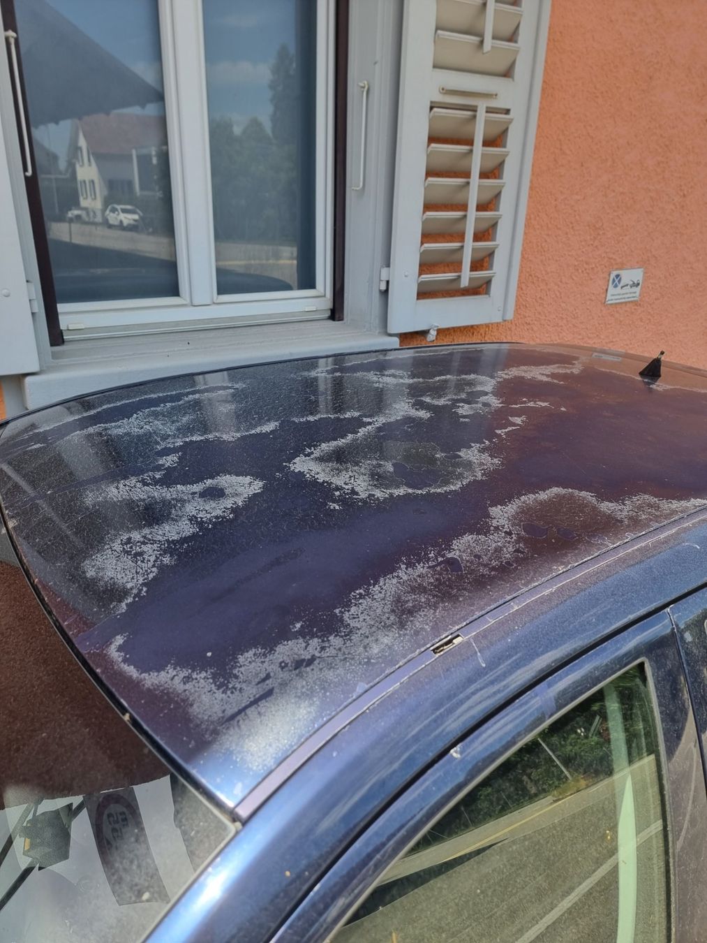 Autos: Skoda  Fabia – Gebraucht aus Willisau von ida_hjx2 5