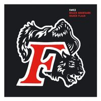 CD Favez - Bigger mountains higher flags (2007)