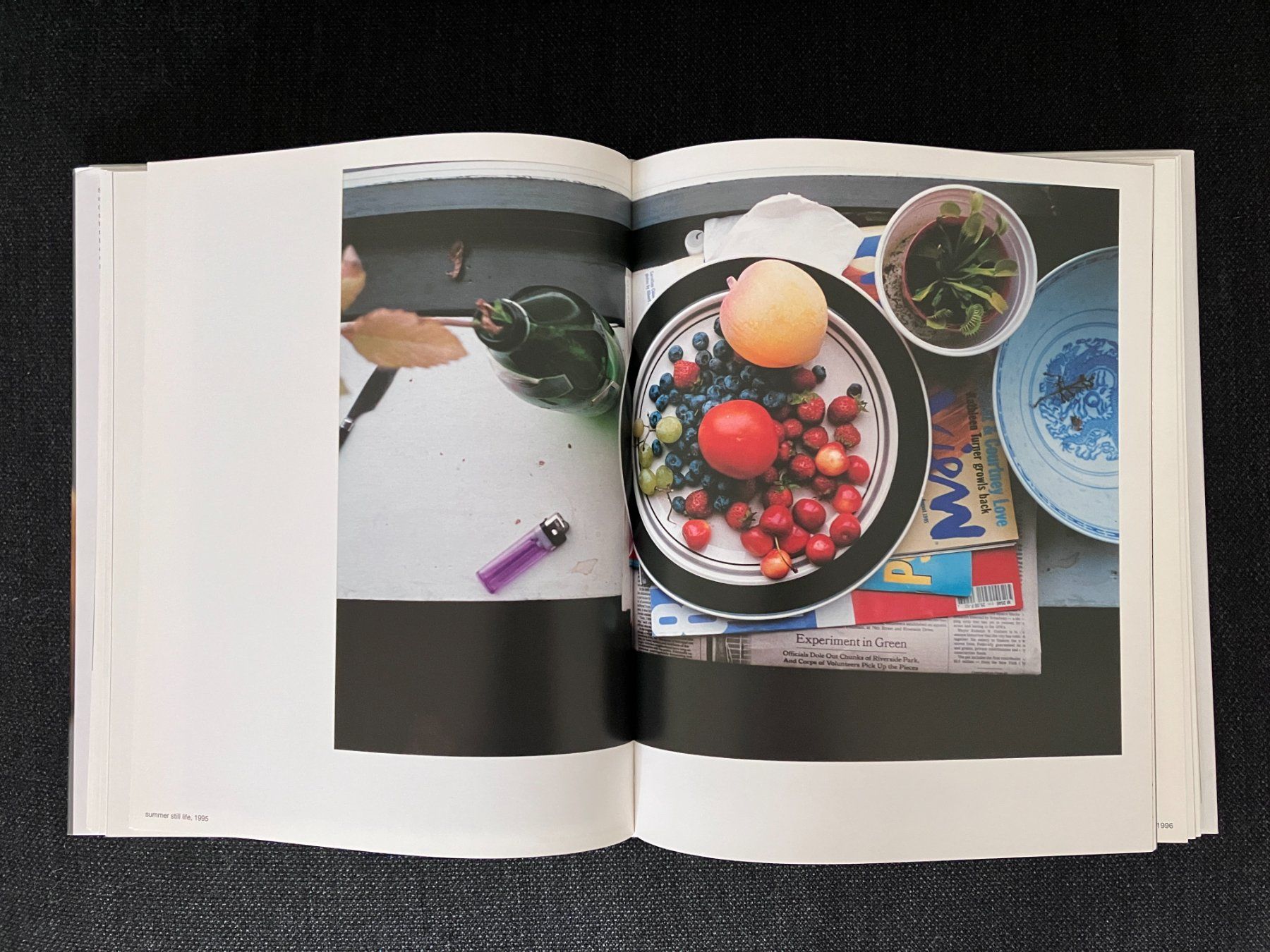 Libri: Wolfgang Tillmans - Burg – Usato da Adliswil venduto da lauryyrual 1