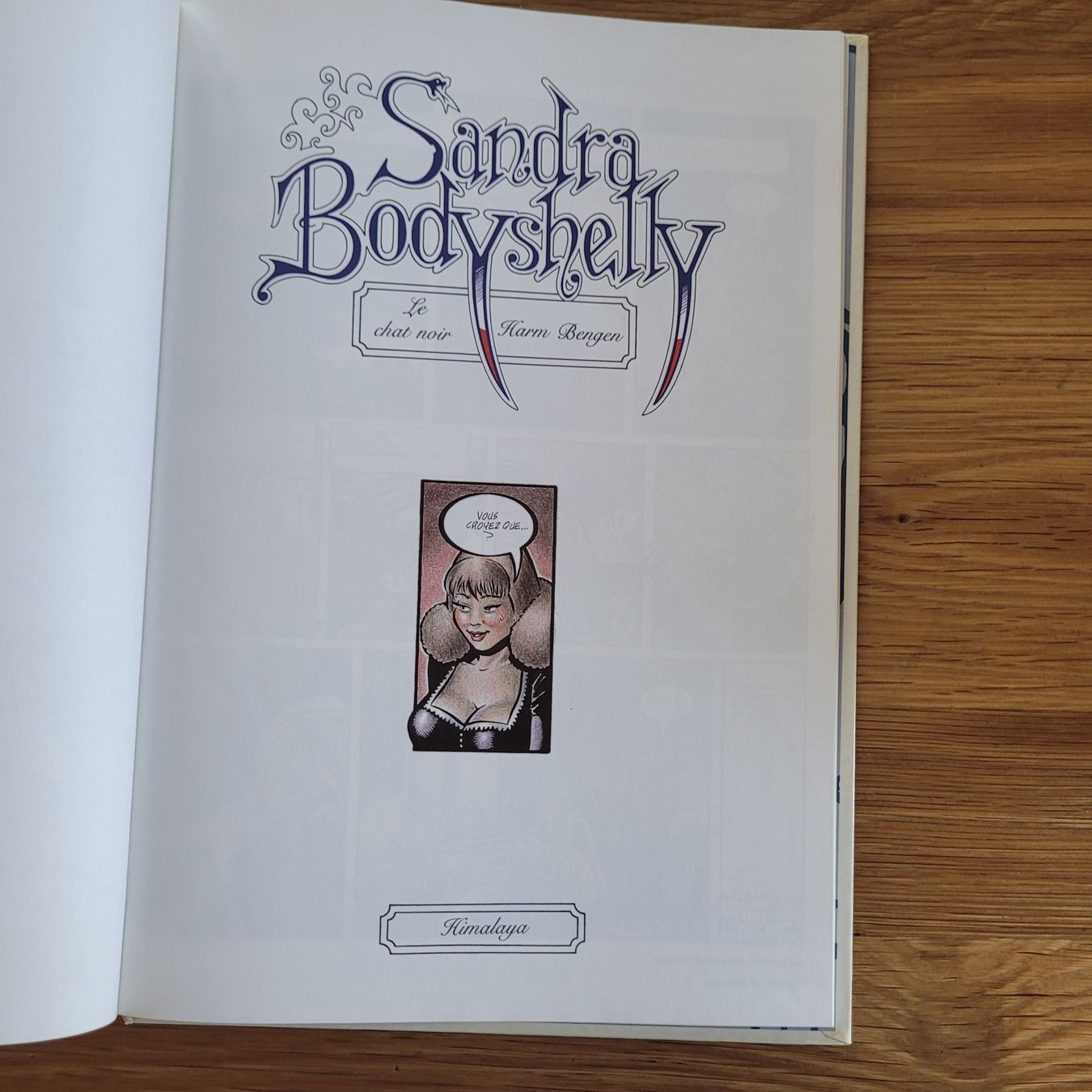Fumetti: BD Adulte EO Sandy Bodyshelly 1. Le Chat Noir – Usato da Biel/Bienne venduto da Destockweb 1