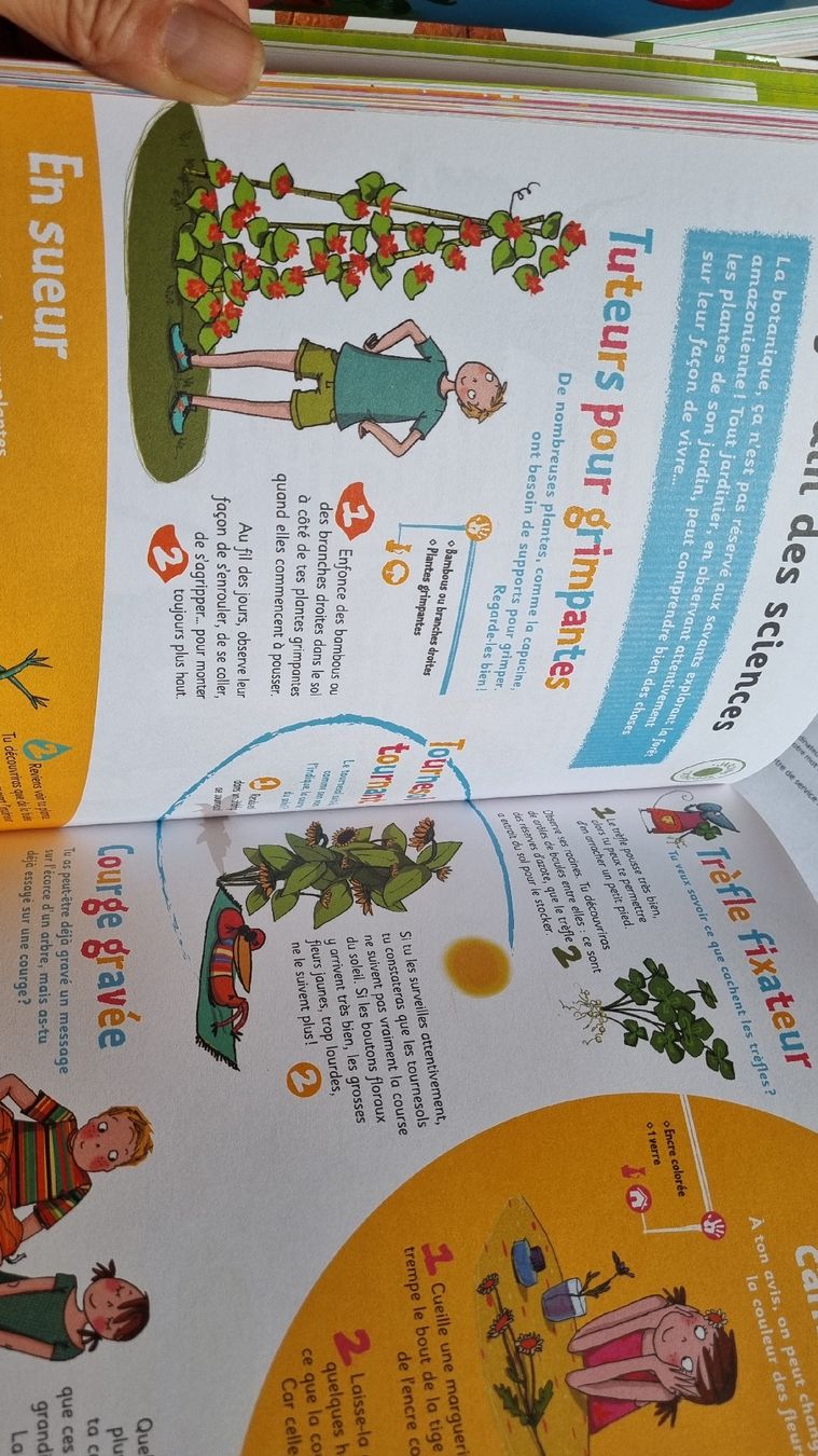 Libri: Livre d'activités nature – Usato da Corbeyrier venduto da Lalaland99 5