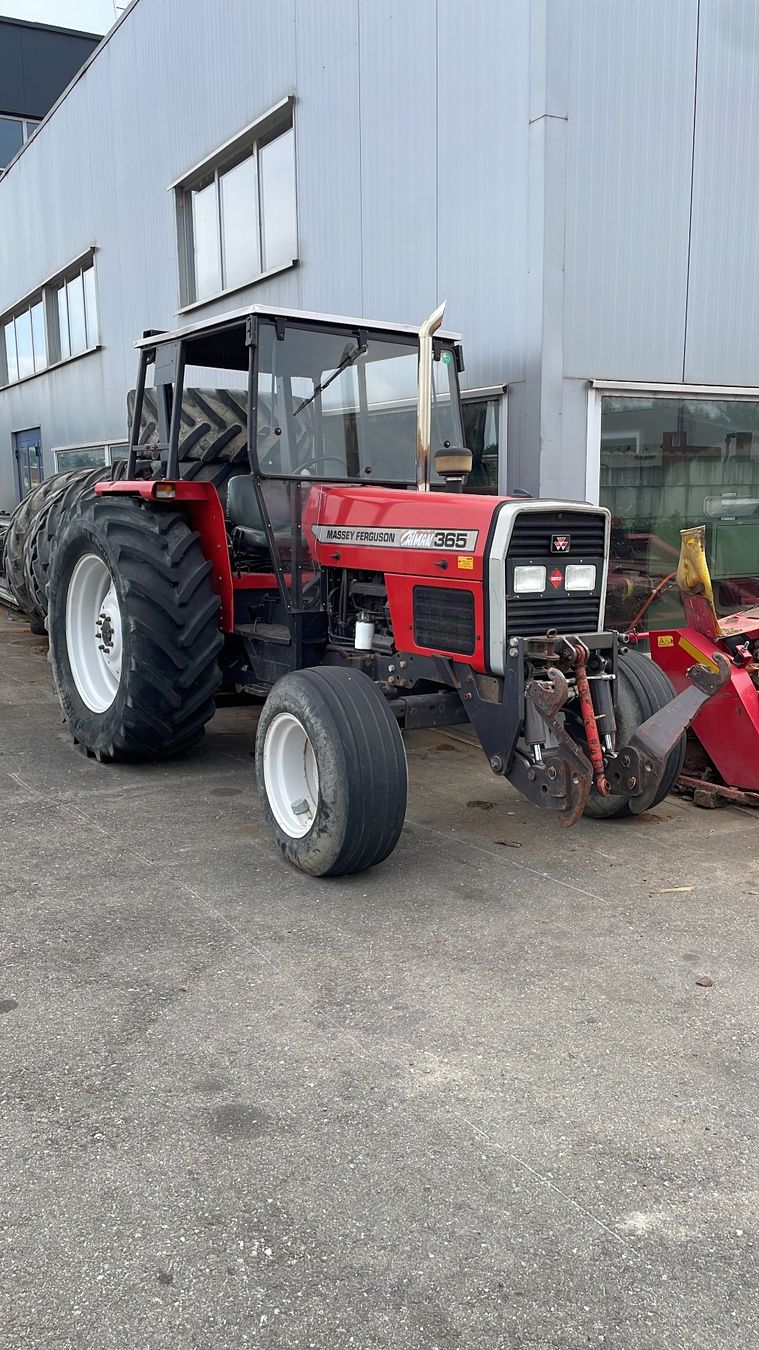 MF MASSEY FERGUSON 365 (Gebraucht) in Champvent für CHF 15000 – nur ...