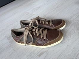Herrenschuh Geox, Gr. 42