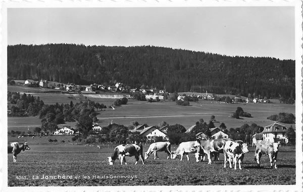 Ansichtskarten: La Jonchère et les Hauts Geneveys Kühe – Gebraucht aus Olten von clotaldi