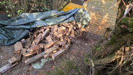 Diverses Holz zum basteln, feuern u.s.w