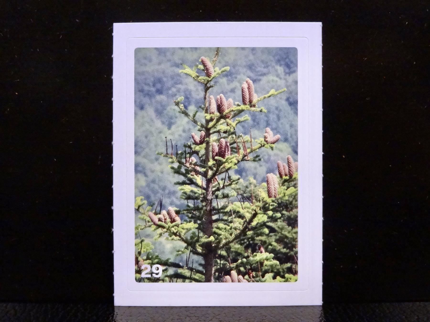 Migros Carte collezionabili: MIGROS MANIA Nature Detectives Nr. 29 – Usato da Kerzers venduto da zimmergruen