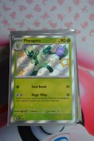 Floragato Shiny