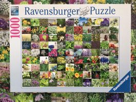 Puzzle Ravensburger 99 Kräuter und Gewürze 1000Teile