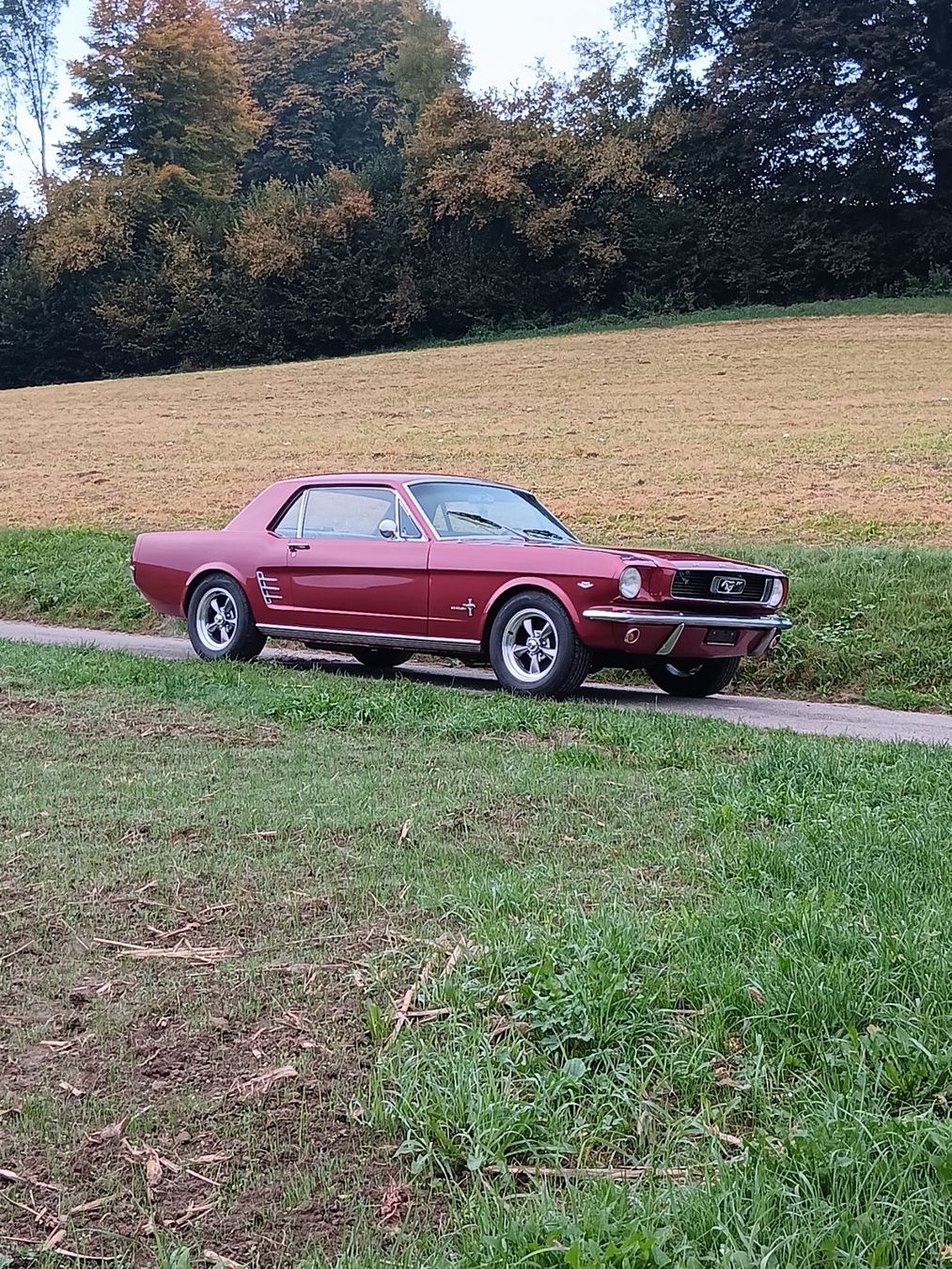 Ford (Usa) Autos: Ford Mustang 289 V8 1966 – Gebraucht aus kölliken von TerryCash