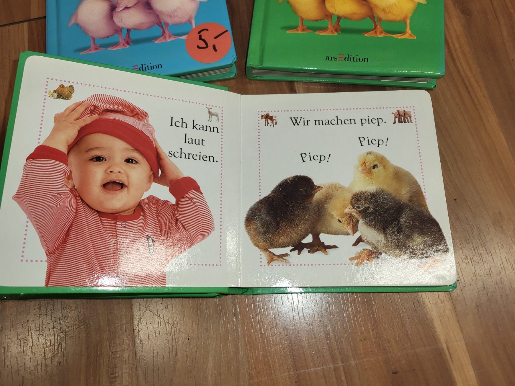 Libri: Sehen und begreifen Bauernhoftiere – Nuovo (secondo la descrizione) da Schwarzenburg venduto da Flamingo07 1