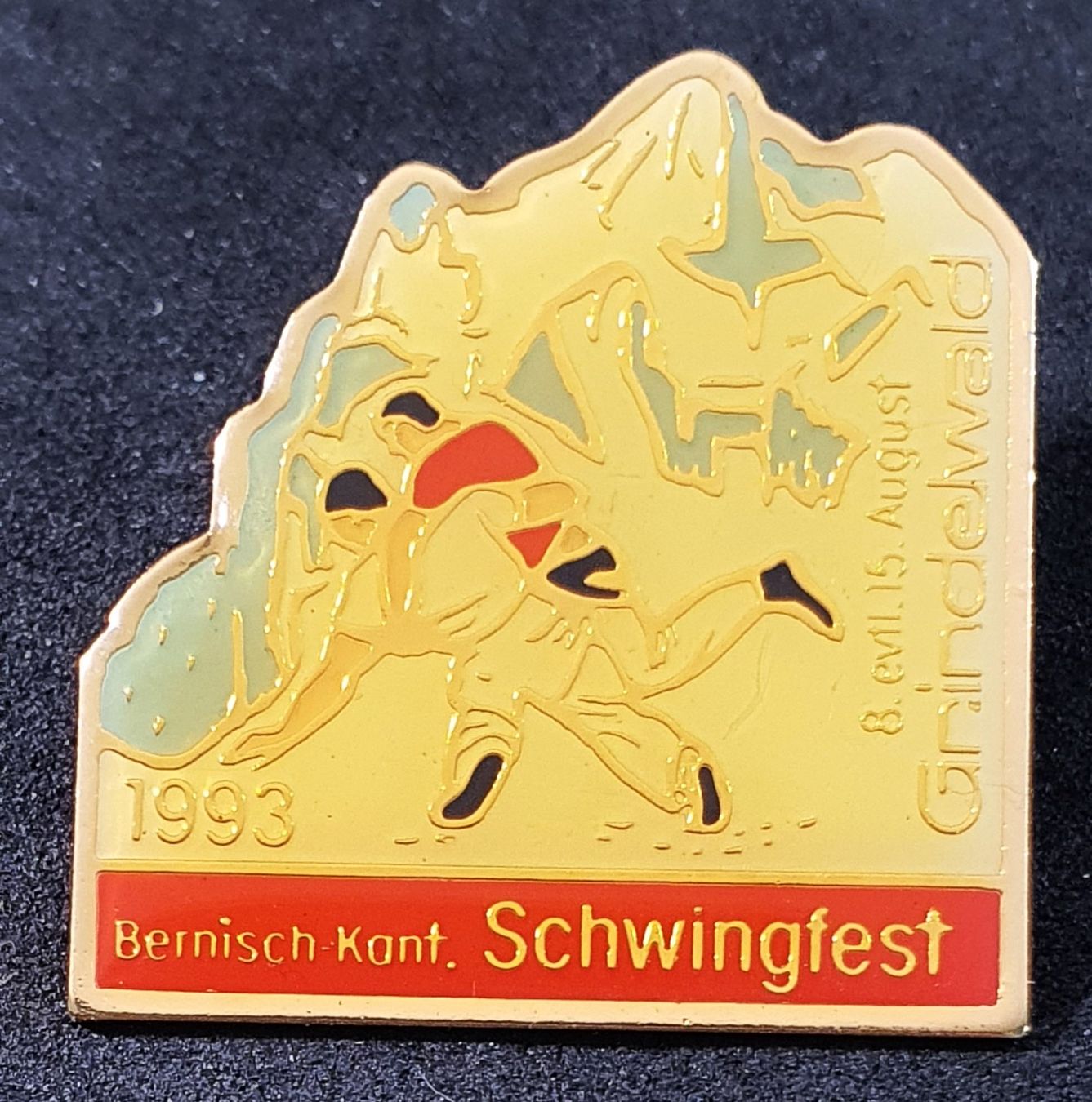 Placchette & Badge: CC966 - Pin Schwingen Grindelwald 1993 – Usato da Reinach BL venduto da Boston-Verkauf 1