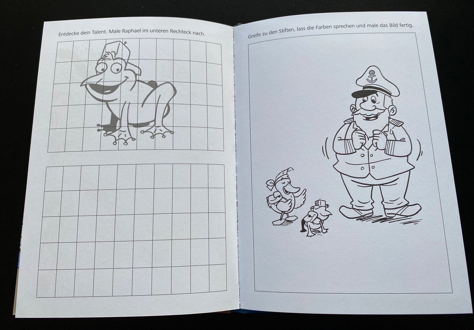 Libri: DIE ABENTEUER VON HUGO UND RAPHAEL – Usato da Nussbaumen AG venduto da schuba2000 6
