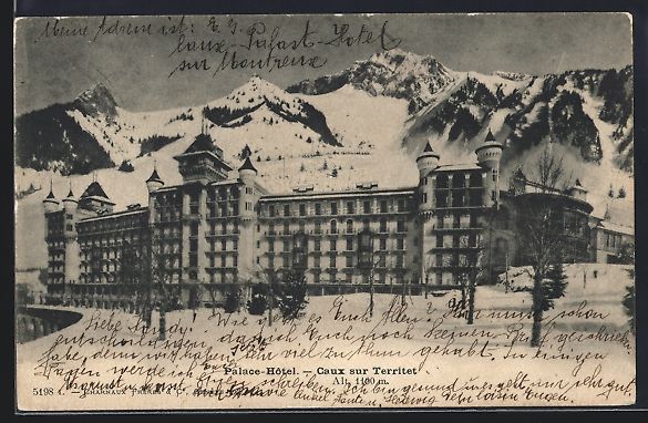Cartoline postali: Caux sur Territet, le Palace-Hotel dans  – Usato da Berlin venduto da bartko-reher