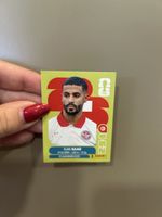 Panini Sticker TUN16