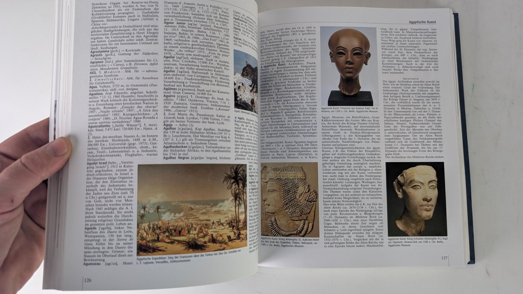 Libri: Reader's Digest Universal-Lexikon komplett, 18 Bände – Usato da Zürich venduto da 1.Simon 6