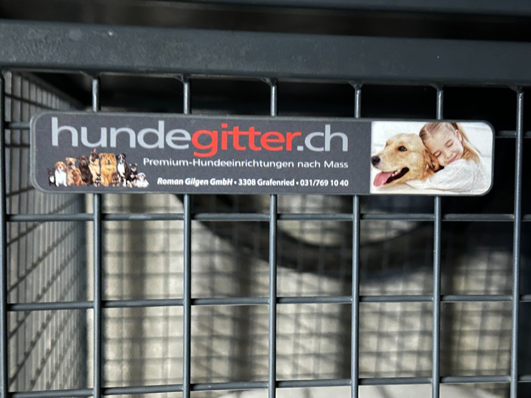 Käfige, Transport & Sicherheit: 3er Hundegitter.ch Hundebox Auto – Gebraucht aus Studen BE von Silvercity26 6