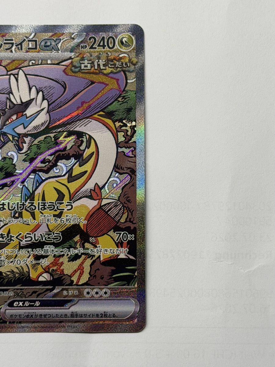 Pokémon Carte collezionabili: Raging Bolt ex 222/187 SAR – Nuovo (secondo la descrizione) da Windisch venduto da CharizArdi 1