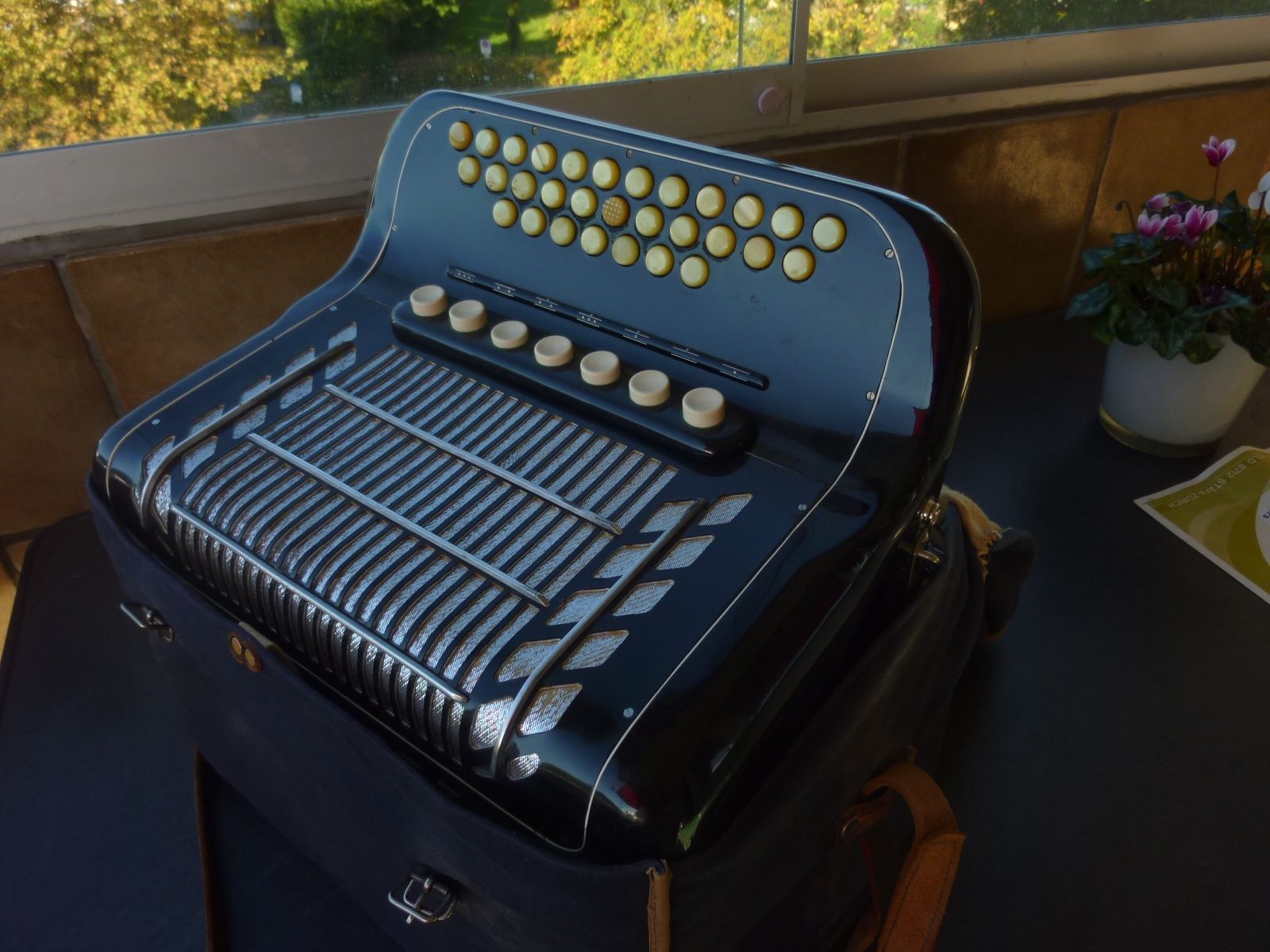 Musikinstrumente: HOHNER Norma IV Handorgel – Gebraucht aus Regensdorf von Moweso134 7