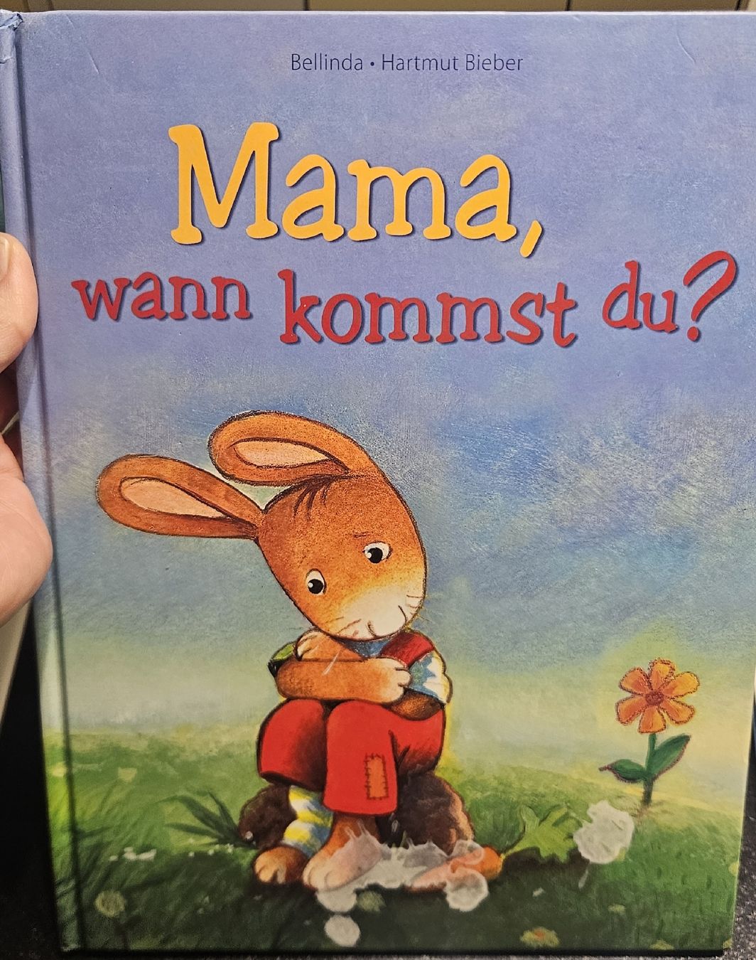 Libri: Kinderbuch "Mama wann kommst du" – Usato da Grabs venduto da ricolino12