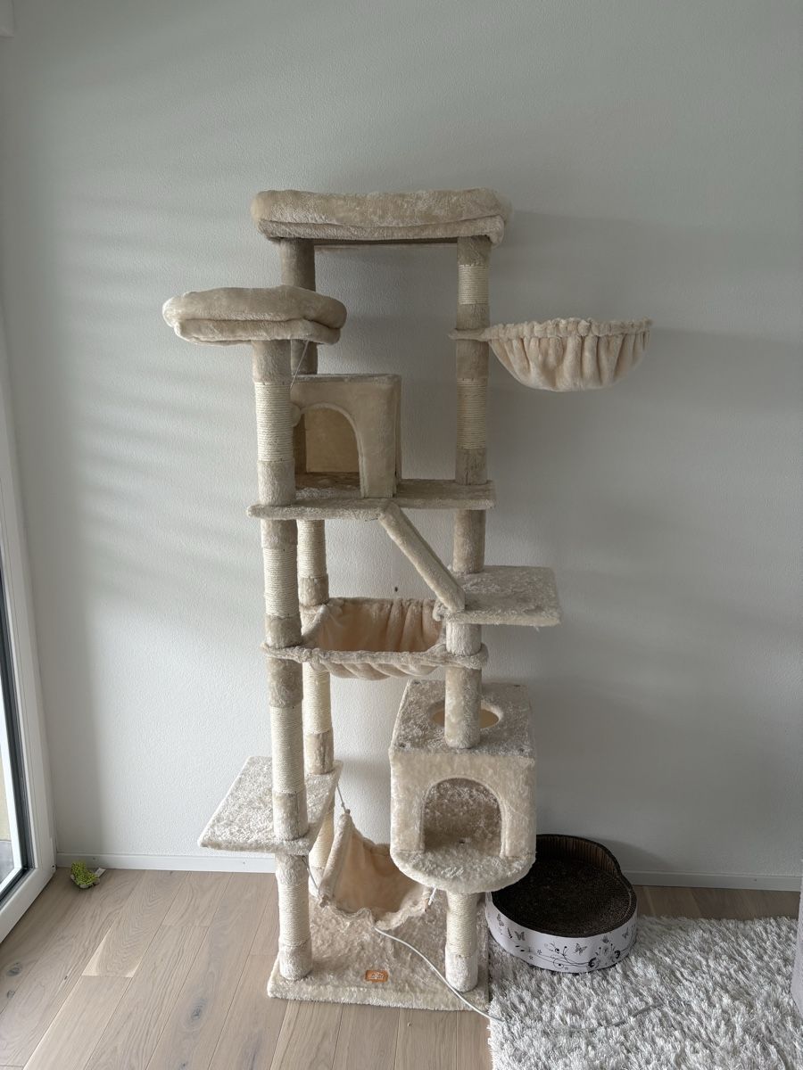 Tiragraffi: Kratzbaum Katzen 180cm beige – Nuovo (secondo la descrizione) da Lömmenschwil venduto da tmr_xx