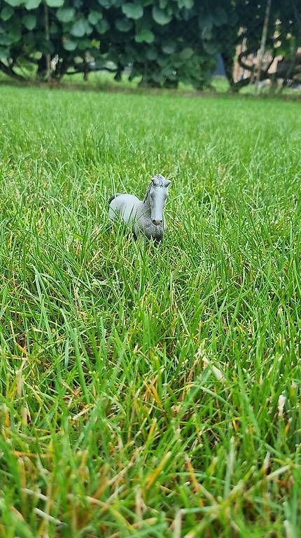 Giocattoli: Cheval Schleich  – Usato da St-Sulpice VD venduto da rog_c28g 2